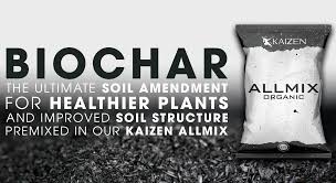Biochar Soil Amendment