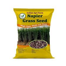 Napier Grass Splits
